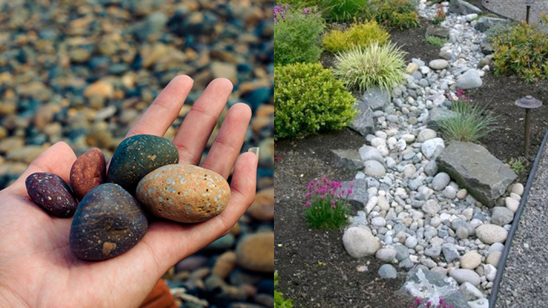 cách làm vườn nhà đơn giản