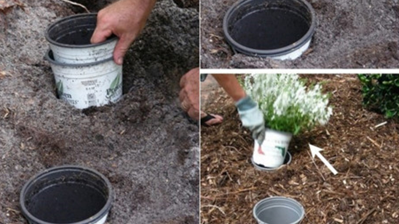 cách làm vườn nhà đơn giản