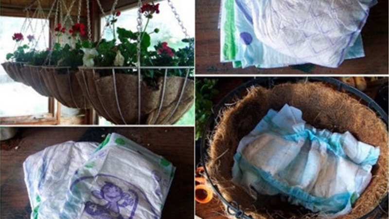 cách làm vườn nhà đơn giản