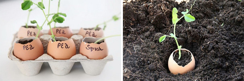 cách làm vườn nhà đơn giản