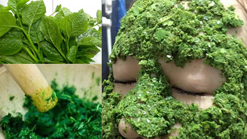 công dụng của mồng tơi