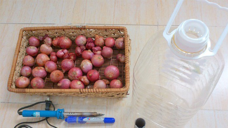 cách trồng hành lá tại nhà