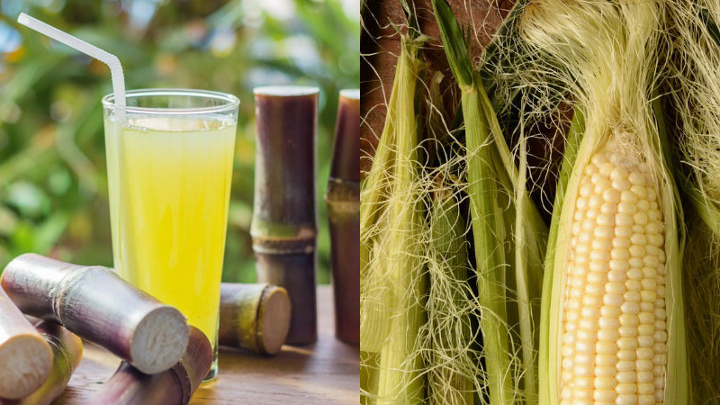 công dụng của nước mía