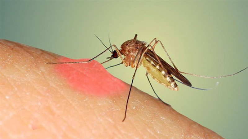 công dụng làm đẹp của aspirin