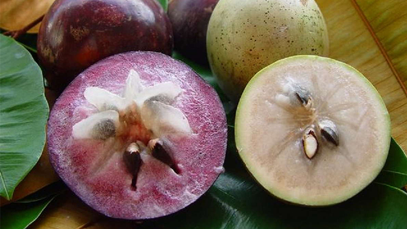 các loại trái cây thuần Việt