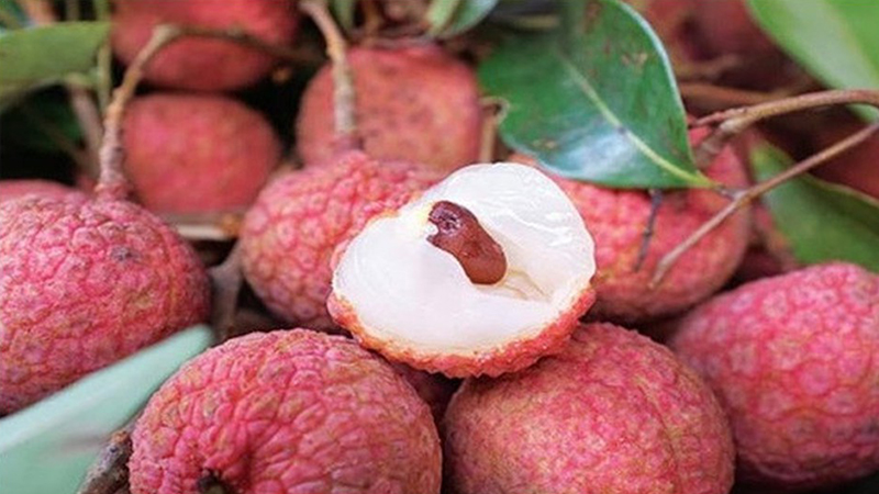 các loại trái cây thuần Việt