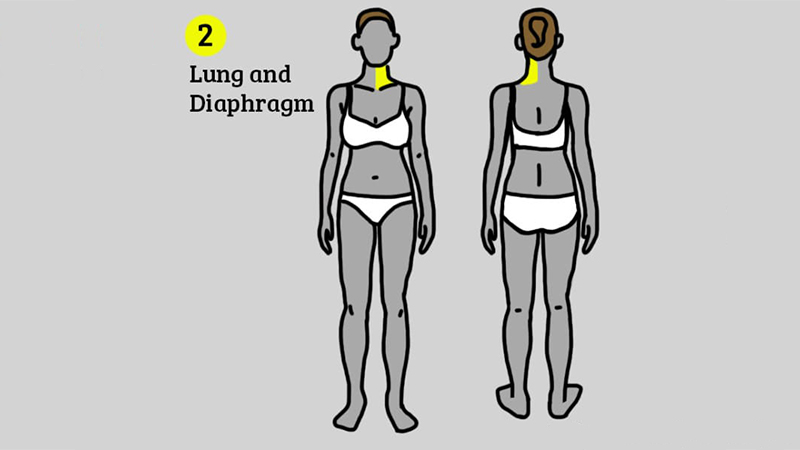 phát hiện bệnh nhờ vị trí các cơn đau