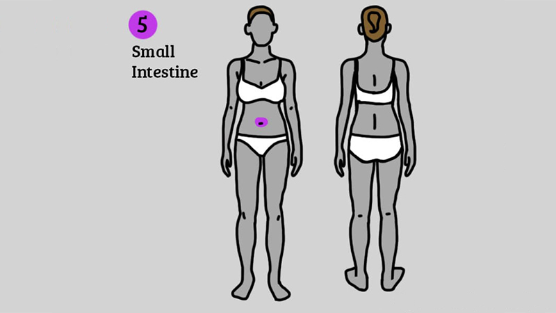 phát hiện bệnh nhờ vị trí các cơn đau