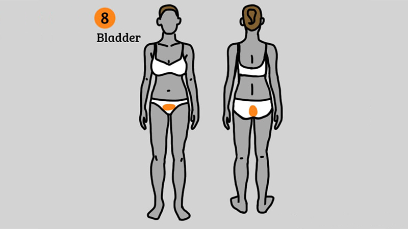 phát hiện bệnh nhờ vị trí các cơn đau