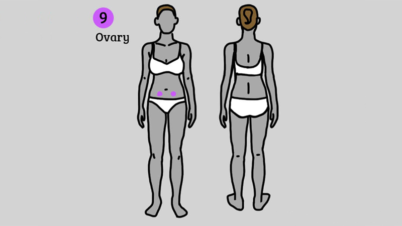 phát hiện bệnh nhờ vị trí các cơn đau