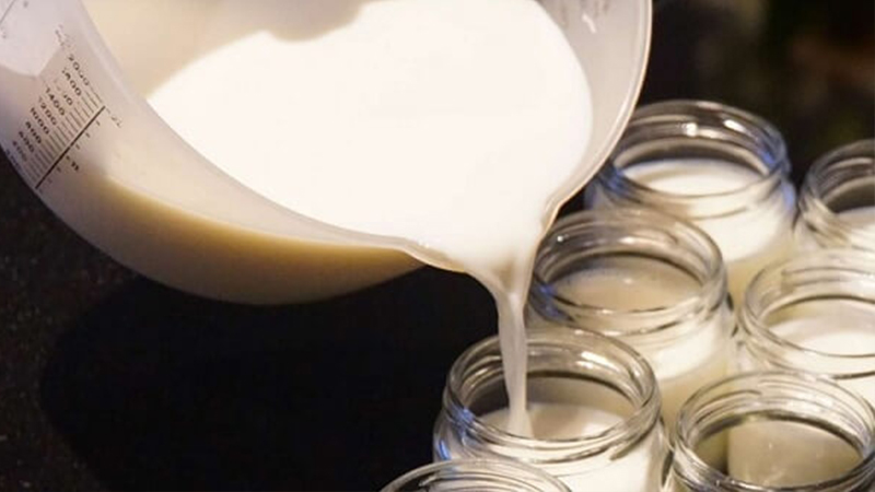 Cách Làm Món Sữa Chua Ủ Bằng Thùng Xốp của Hà Trang