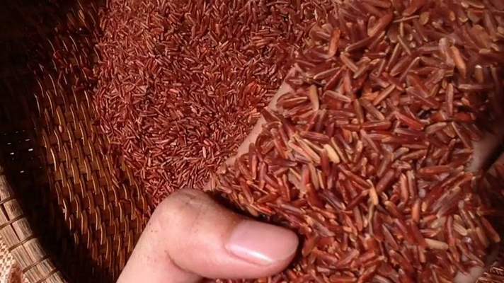 Phân biệt gạo lứt và gạo huyết rồng 3