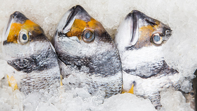 Cách ướp đá cho cá