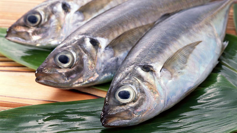 cách chọn mua cá tươi