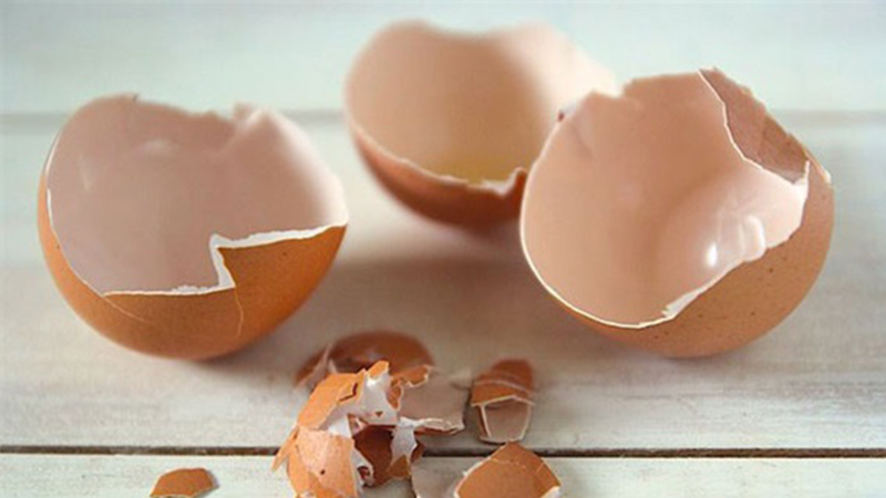 cách nhận biết trứng gà bệnh