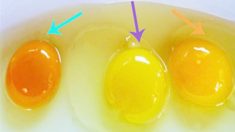 cách nhận biết trứng gà bệnh