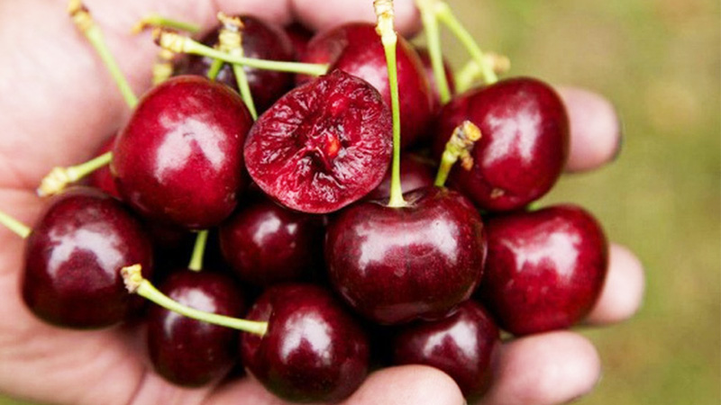 các loại trái cây tốt cho sức khỏe