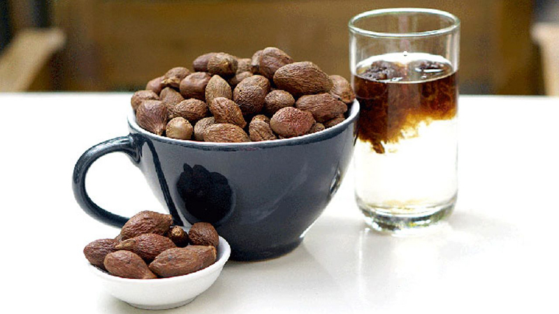 tác dụng hạt đười ươi