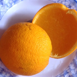 Rau câu trái cam