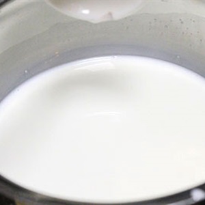 Flan kem sữa tươi