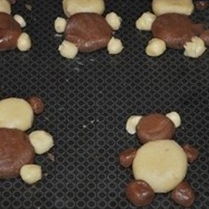Bánh quy gấu Teddy