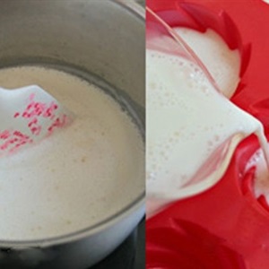 Thạch sữa dừa hoa quế