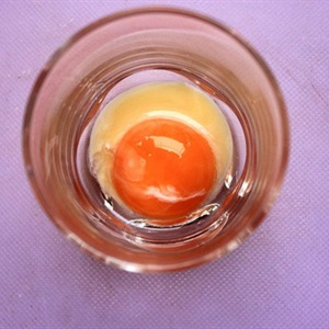 Cafe trứng