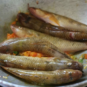 Cá bống cà ri