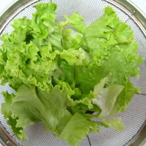 Salad đậu hũ xà lách