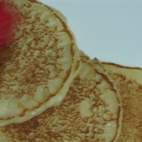 Bánh Pancake