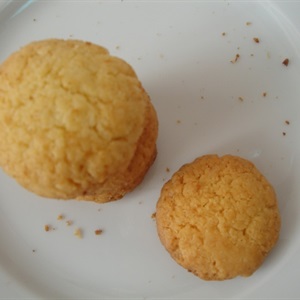 Coconut cookies