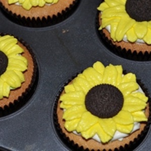 Cupcake hoa mặt trời