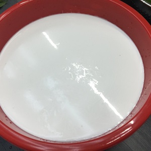 Bánh canh bột gạo nước cốt dừa