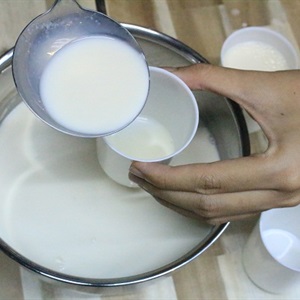 Cách làm sữa chua tại nhà