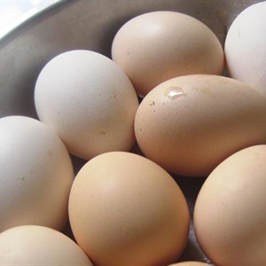 Cơm trộn trứng
