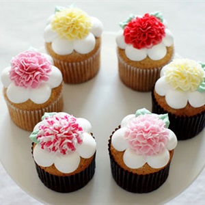 Cupcake hoa cẩm chướng