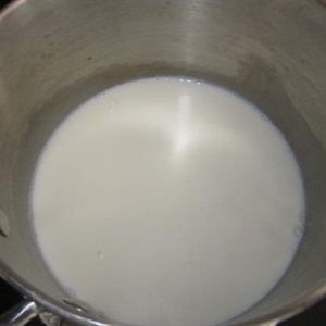 Váng sữa