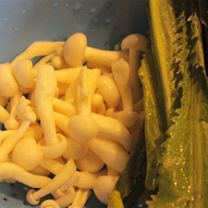 Bắp cải xào đậu hũ và nấm