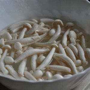 Bò cuộn nấm phô mai