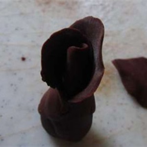 Chocolate hoa hồng