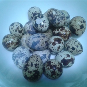 Trứng thịt kho đậu hũ