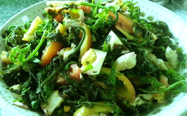 Cách làm salad rau dớn trứng muối  