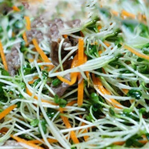 Salad rau mầm trộn