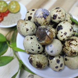 Trứng cút lộn nấu nước dừa