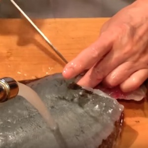 Sashimi cá bơn